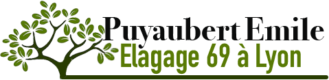 Puyaubert Emile elagage 69